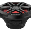Rockford Fosgate Color Optix M1D4-8B - 20 Cm Passiv Subwoofer Mit 600 Watt (RMS: 150 Watt) - Schwarz