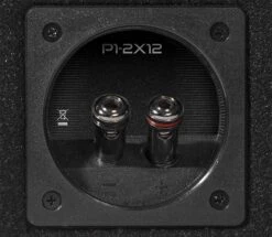 Rockford Fosgate PUNCH P1-2X12 - 30 Cm Passiv Subwoofer Mit 1000 Watt (RMS: 500 Watt) -Auto Zubehör Günstiges Geschäft 40192 4