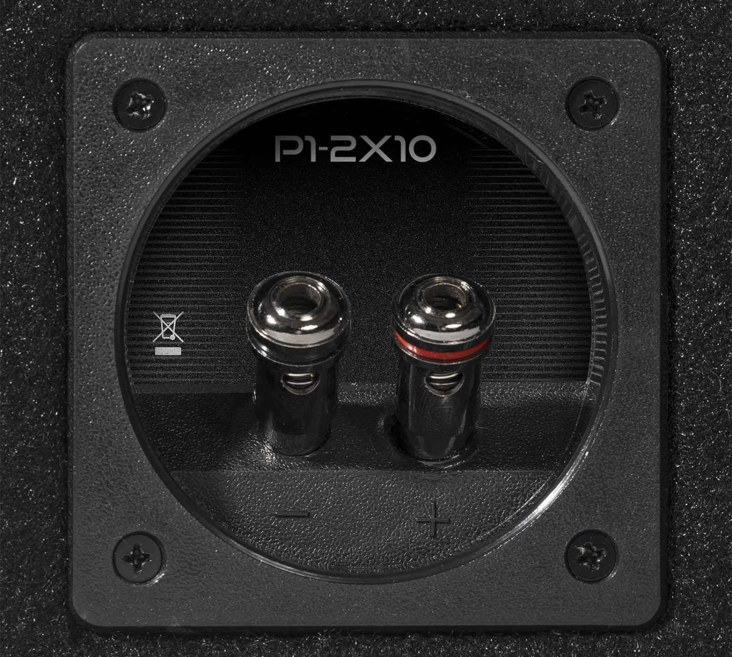 Rockford Fosgate PUNCH P1-2X10 - 25 Cm Passiv Subwoofer Mit 1000 Watt (RMS: 500 Watt) 6 Rockford Fosgate PUNCH P1-2X10 - 25 Cm Passiv Subwoofer Mit 1000 Watt (RMS: 500 Watt) – Bild 6